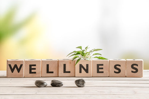 Get Insight into Your Gut Health at Home