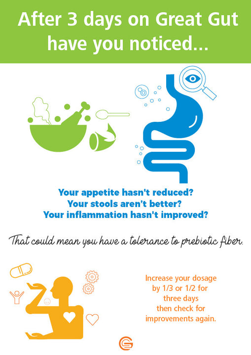 Great Gut® Prebiotic Fiber (Out of Stock)