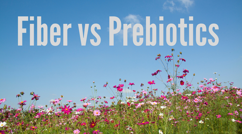 Fiber vs Prebiotics