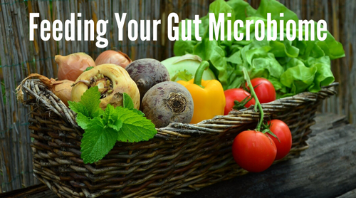 Feeding Your Gut Microbiome