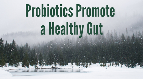 Probiotics Promote a Healthy Gut