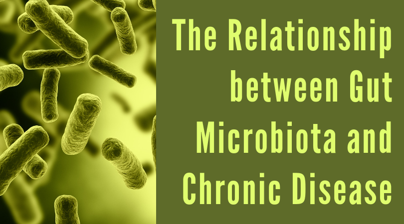 The Relationship Between Gut Microbiota and Chronic Disease