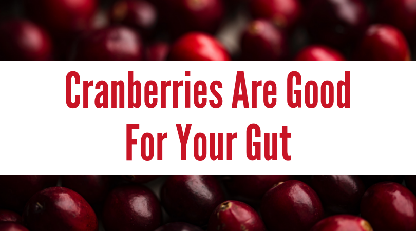 Cranberries Are Good For Your Gut