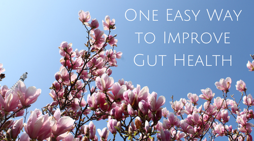 One Easy Way to Improve Gut Health