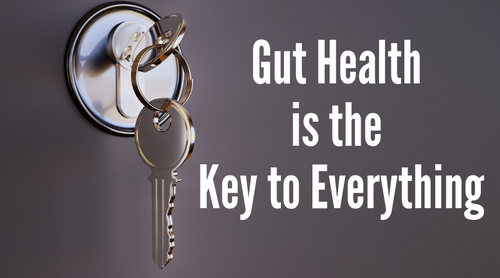 Gut Health Is The Key To Everything