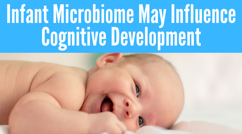Infant Gut Microbiome May Influence Cognitive Development