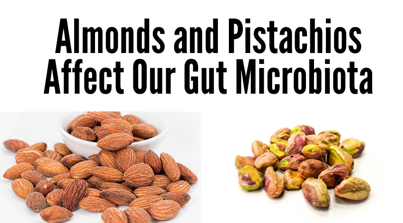 Pistachios and Almonds Affect Our Gut Microbiota