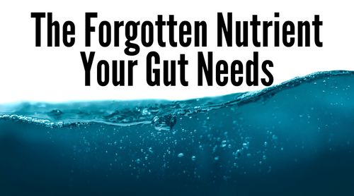 The Forgotten Nutrient Your Gut Needs