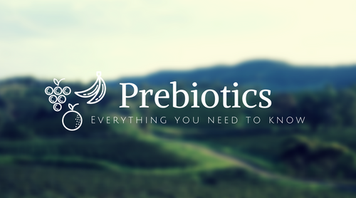 Everything You Need To Know About Prebiotics