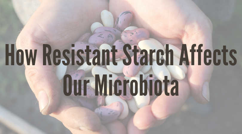 How Resistant Starch Affects Our Microbiota
