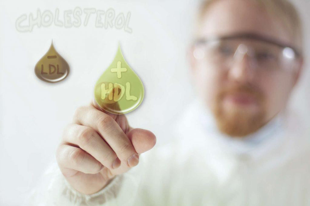 Gut Bacteria May Affect Your Weight and Blood Fats